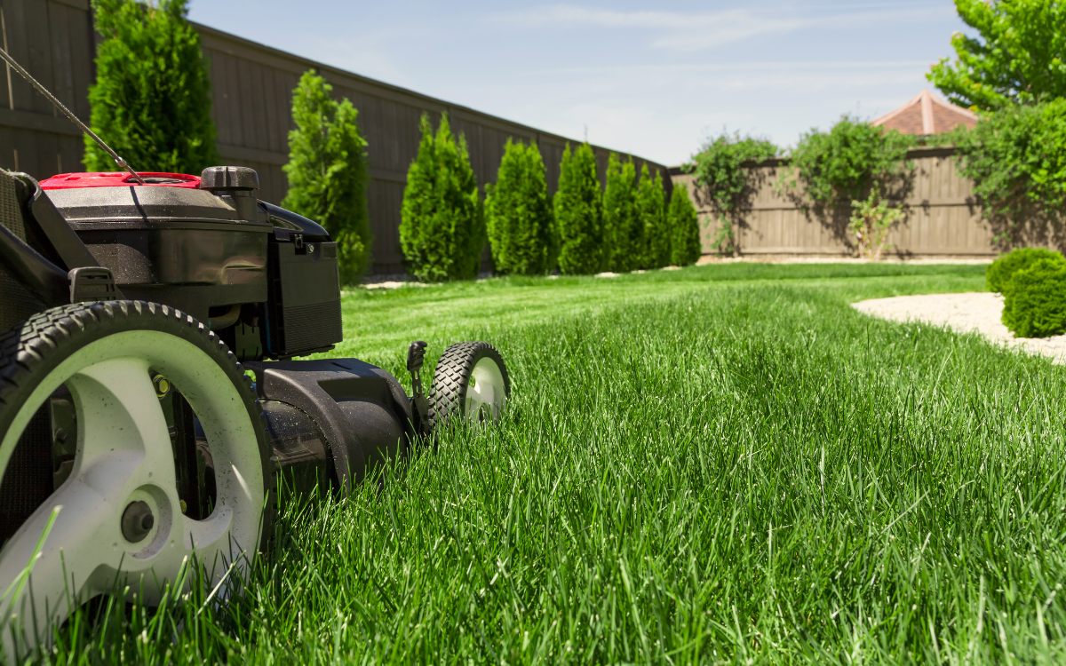 SEO for Landscapers: Grow Leads & Visibility with Savclicks